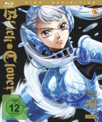 Black Clover - Vol. 11