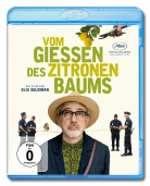 Vom Giessen des Zitronenbaums