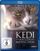 Kedi - Von Katzen und Menschen 