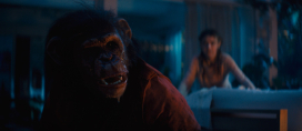 Primate